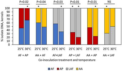 Temperature Influences on Interactions Among Aflatoxigenic Species of Aspergillus Section Flavi During Maize Colonization